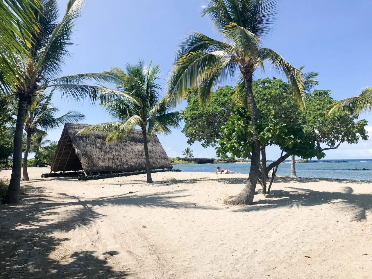 IRONMAN World Championship旅行記 (3/6)日目 - コナウィンドを体感 - 画像22