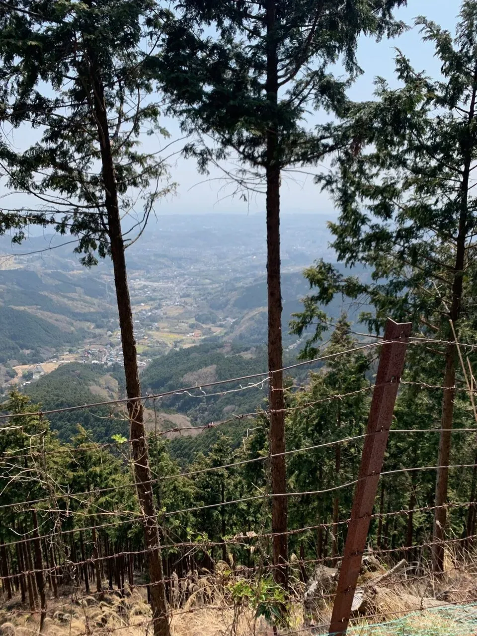 ヤビツ峠へ輪行で行ってタイムアタック！ - 画像4