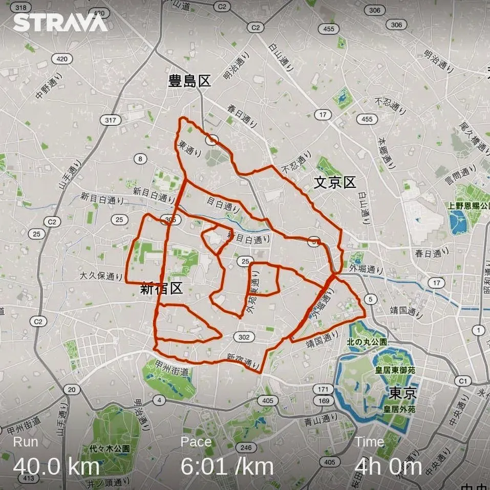 顔マラソン(東京)を走ってきました - 画像6