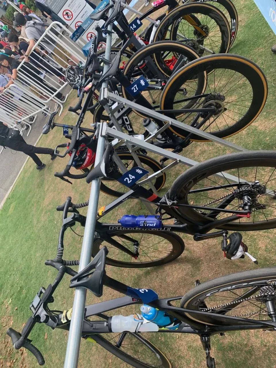 2019ITU世界トライアスロン・パラトライアスロンシリーズ横浜大会 エリート観戦 - 画像2