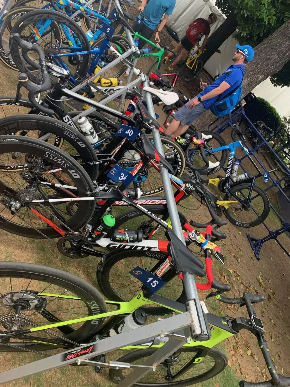 2019ITU世界トライアスロン・パラトライアスロンシリーズ横浜大会 エリート観戦 - 画像3