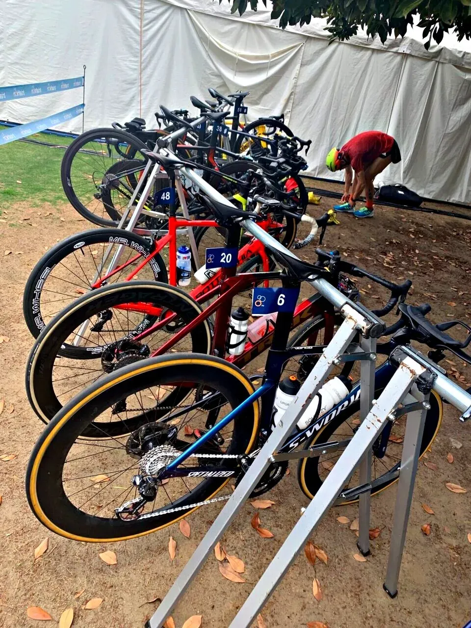 Cover Image of the Post