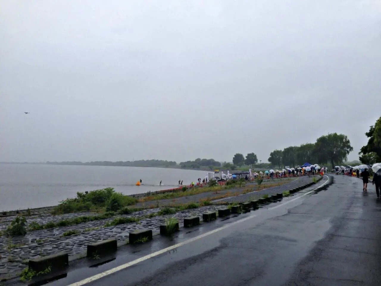 Cover Image of the Post