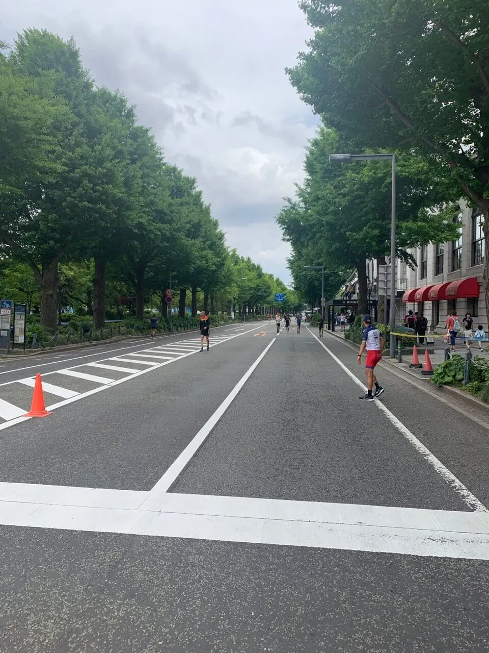 2019ITU世界トライアスロン・パラトライアスロンシリーズ横浜大会 エリート観戦 - 画像4