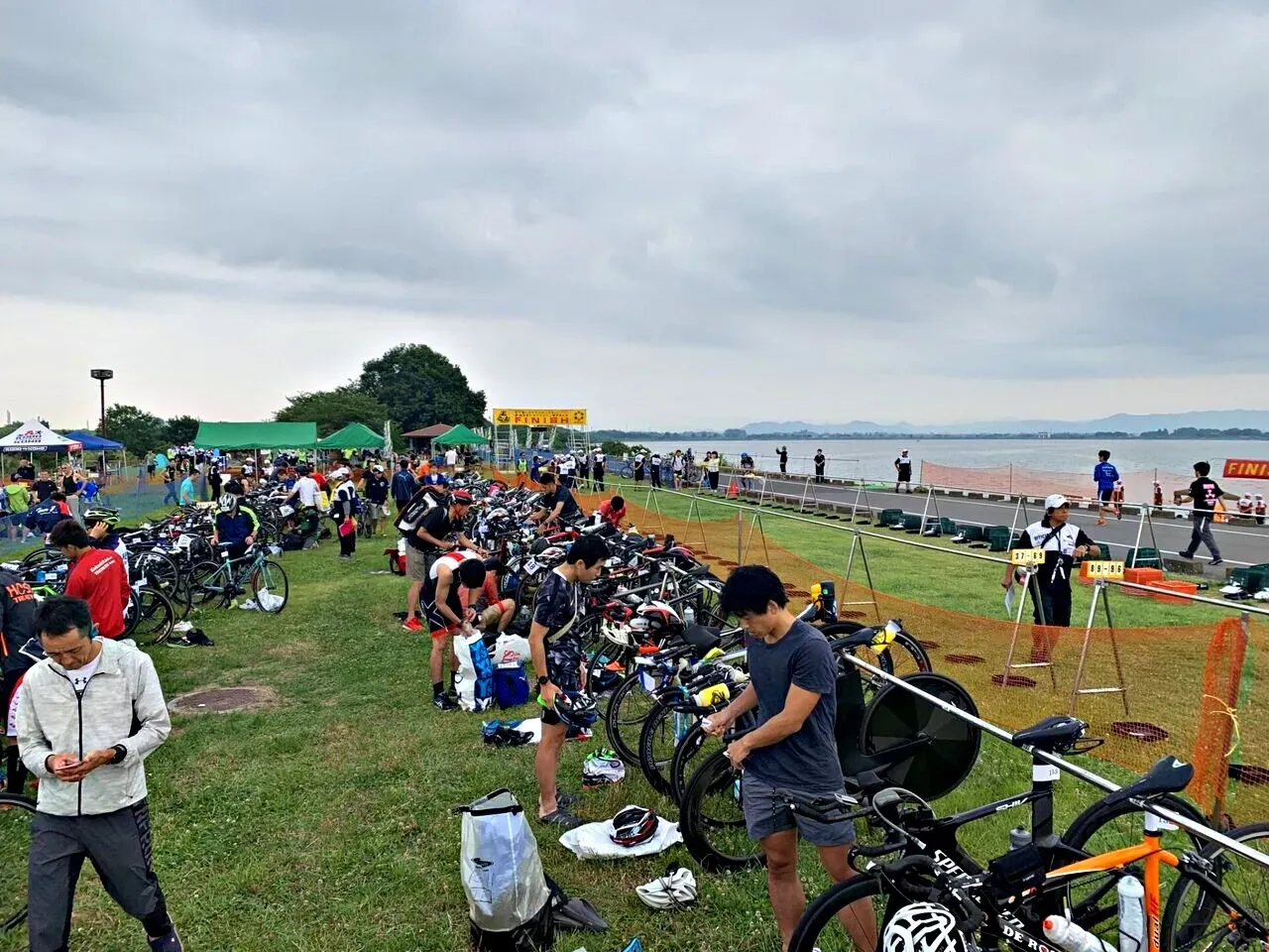 Cover Image of the Post