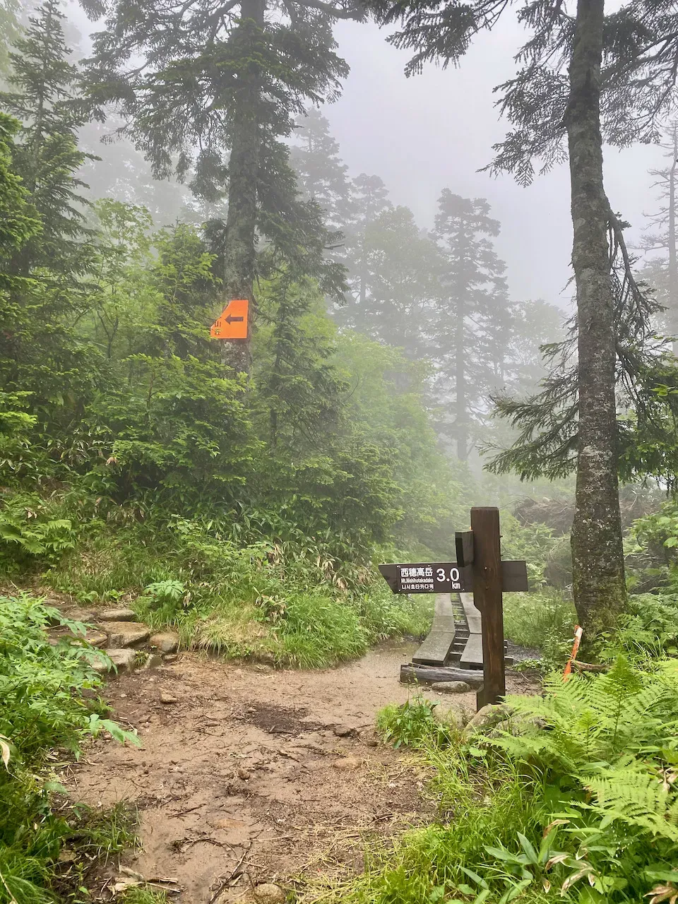 中の湯温泉 - 焼岳 - 西穂山荘 - 西穂高駅 トレラン - 画像14