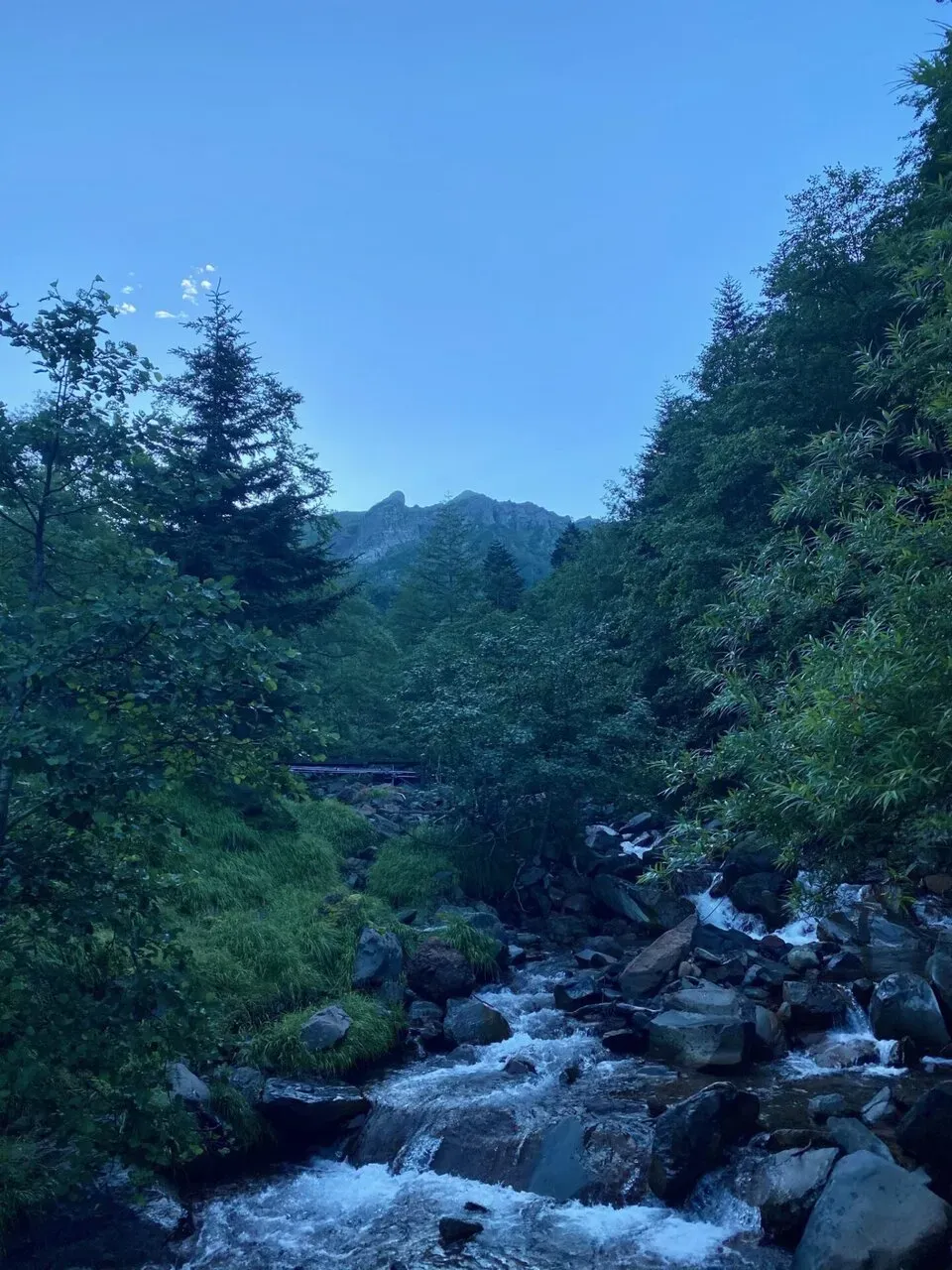 八ヶ岳の南の方(硫黄岳、天狗岳、赤岳、横岳)をトレラン - 画像9