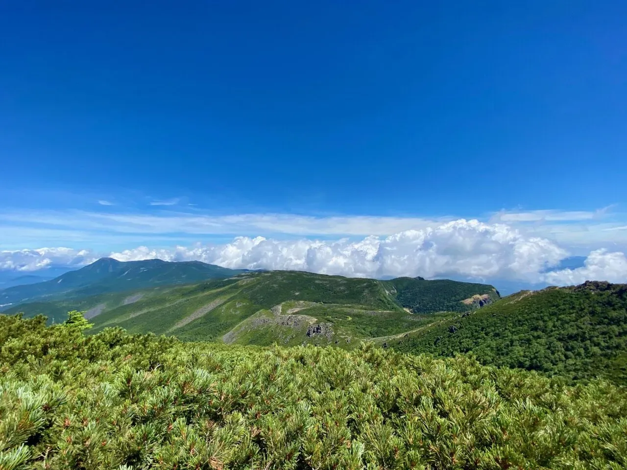 緑の稜線と青空