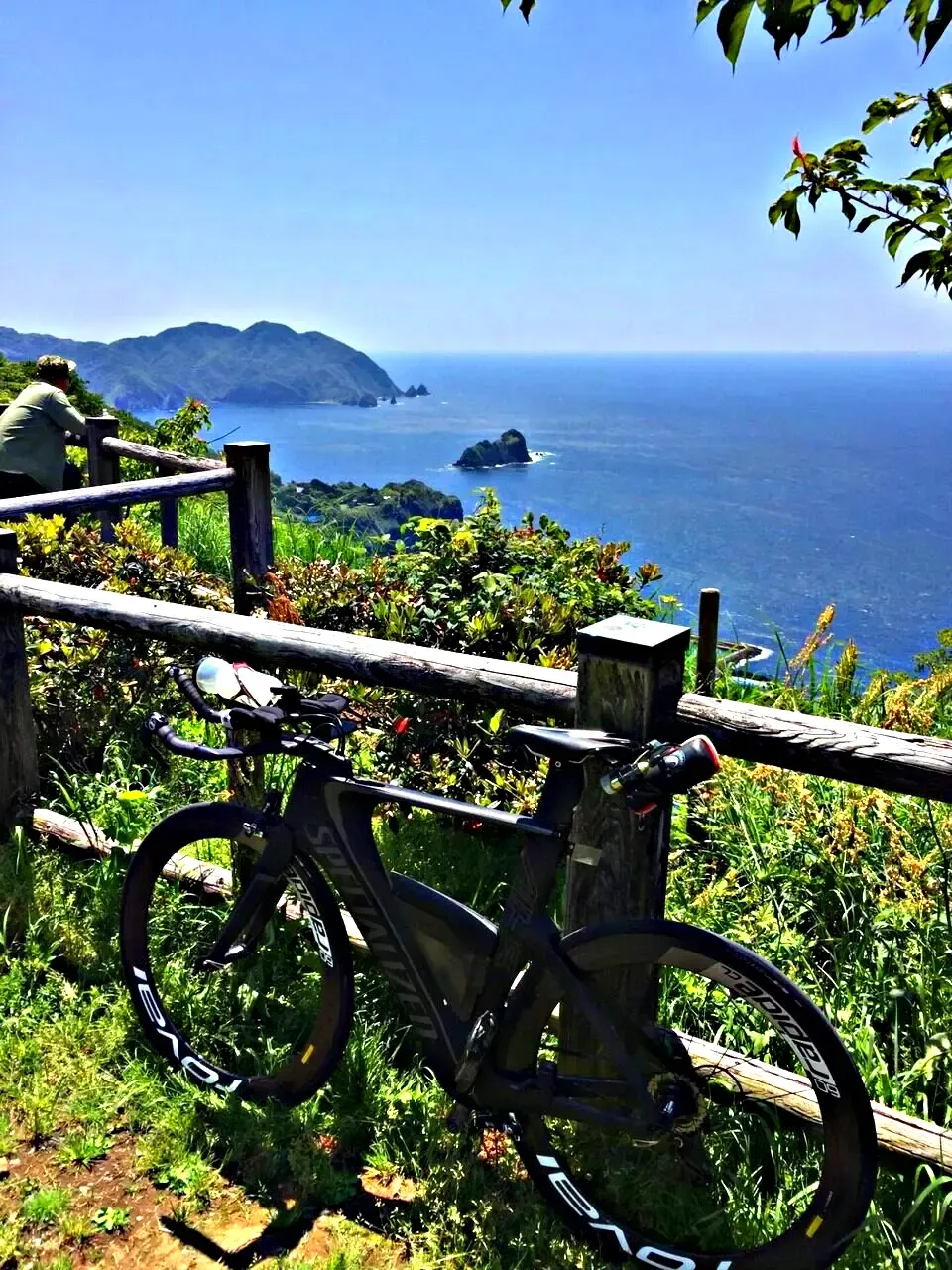 Cover Image of the Post