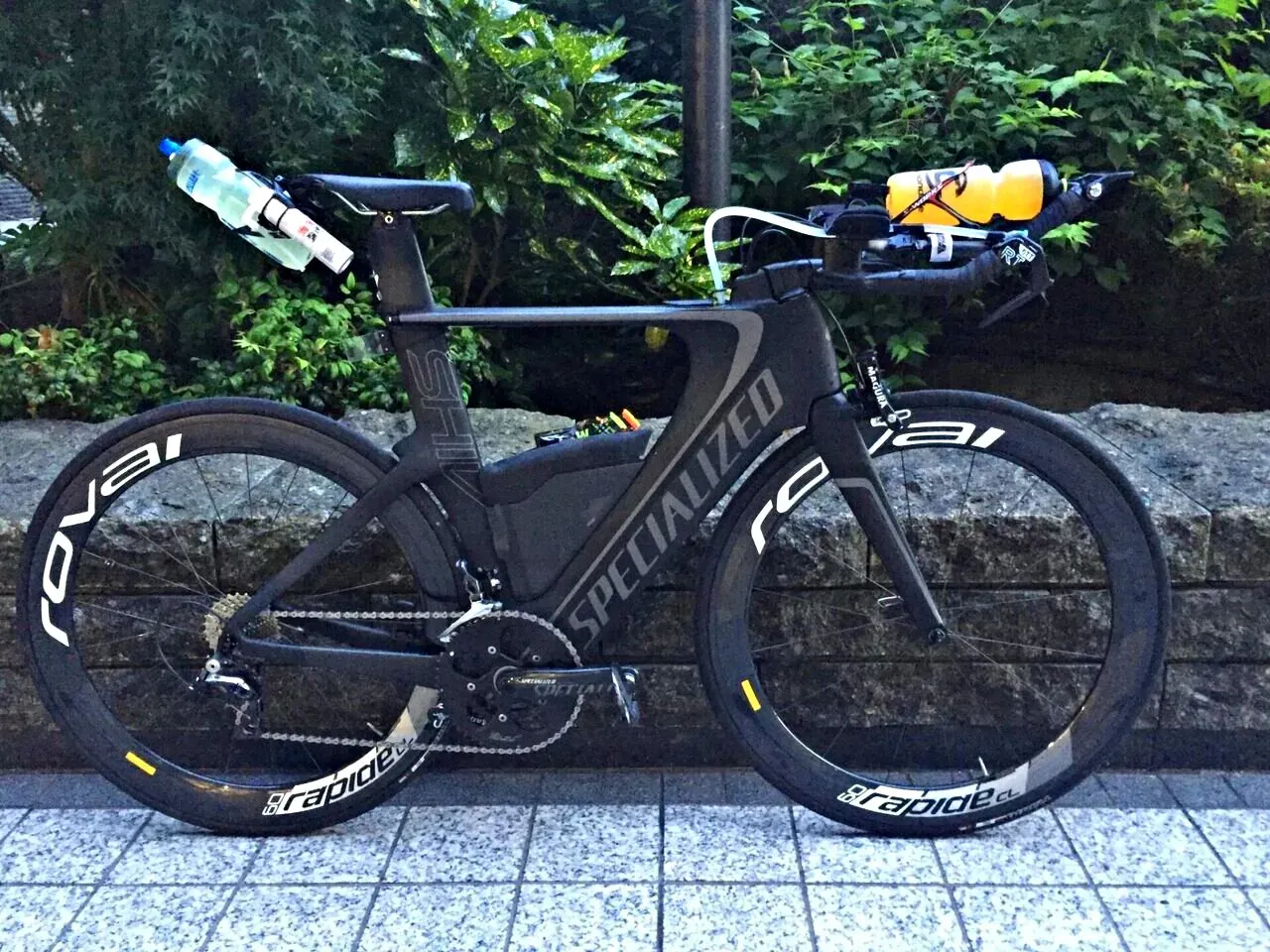 Cover Image of the Post