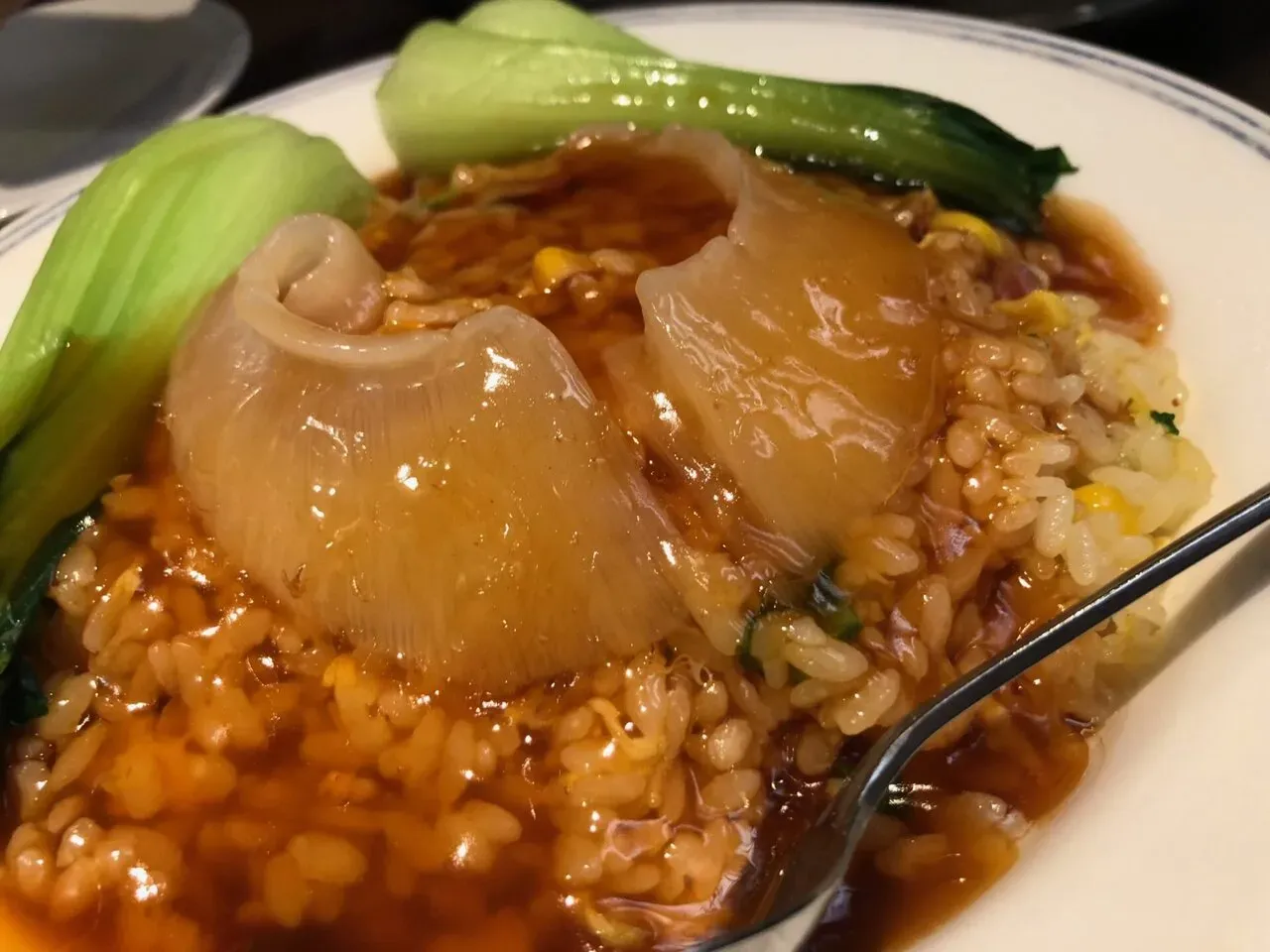 横浜トライアスロン 2:14:57 総合57位 (エイジ10位) - 画像21