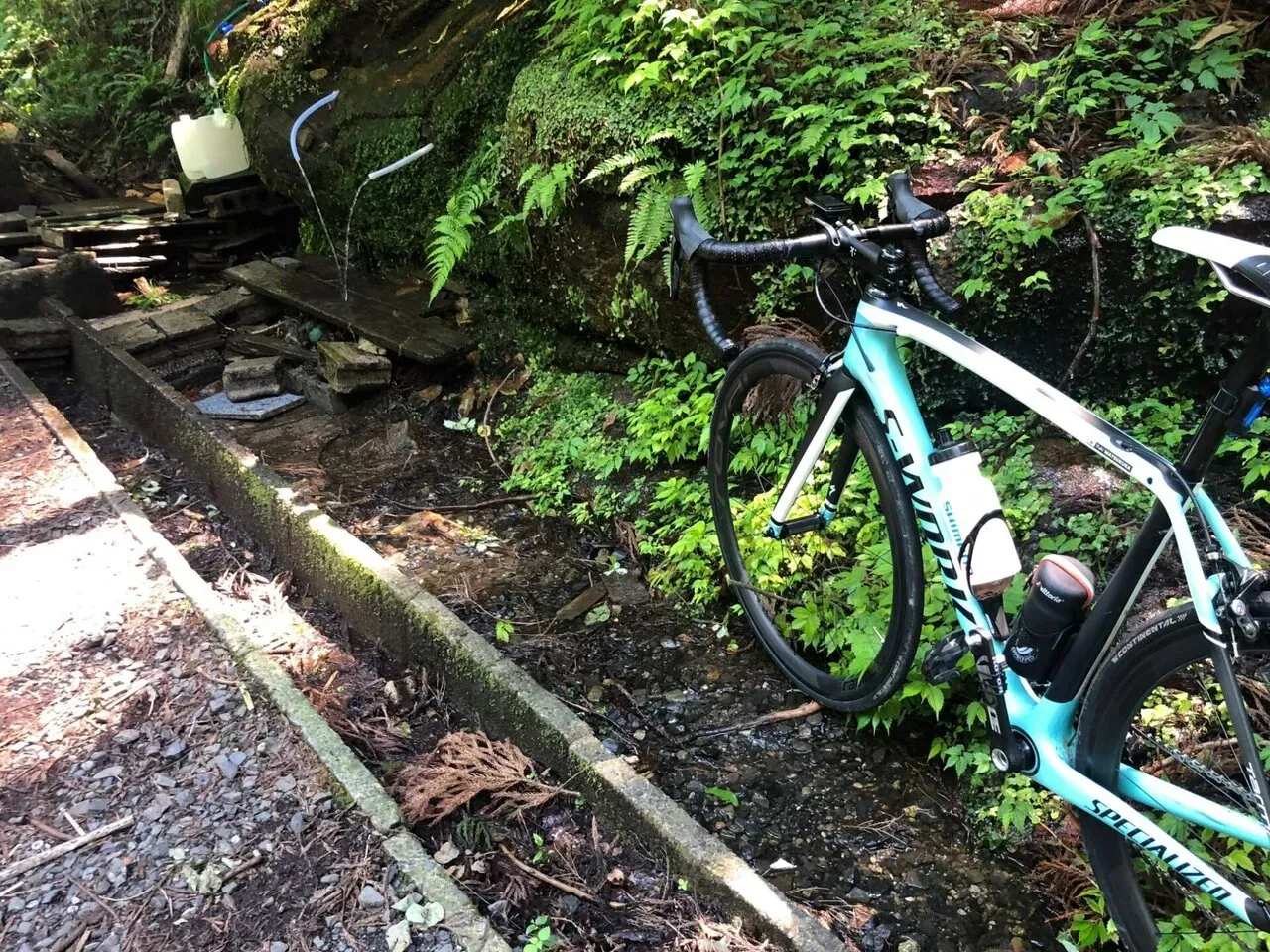 筑波山トレーニング 1800m up - 画像9