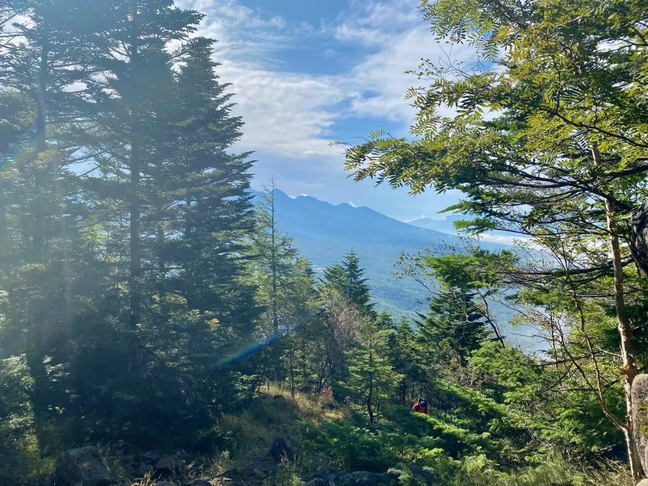 八ヶ岳の北の方(蓼科山、北横岳)をトレラン - 画像7