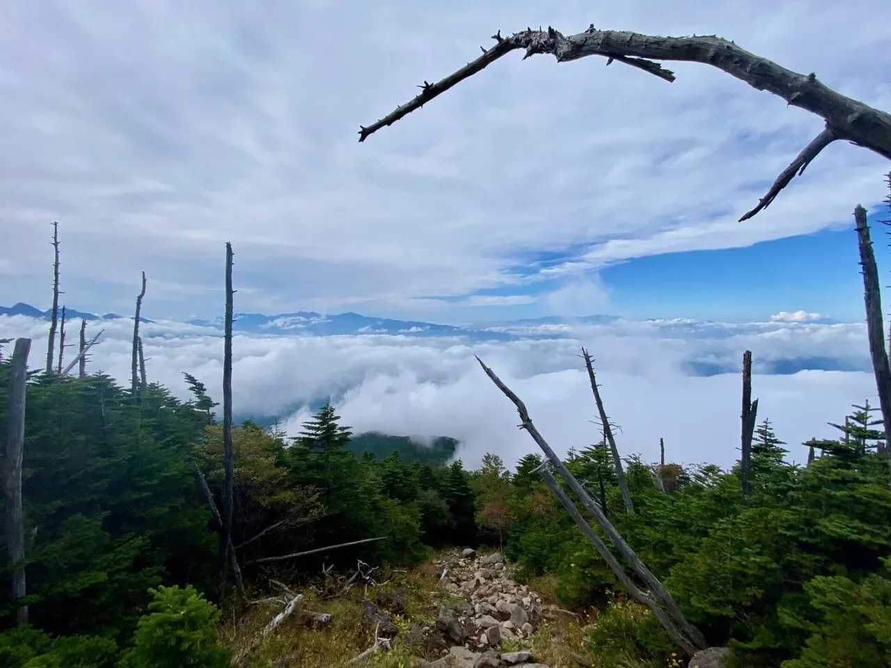 八ヶ岳の北の方(蓼科山、北横岳)をトレラン - 画像9