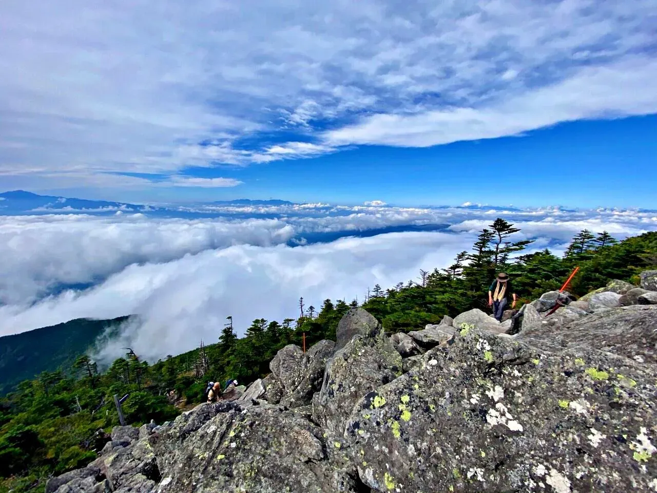 Cover Image of the Post