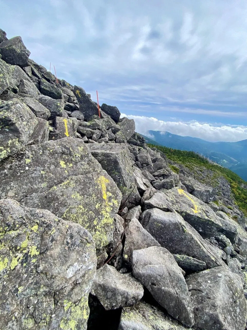 八ヶ岳の北の方(蓼科山、北横岳)をトレラン - 画像15