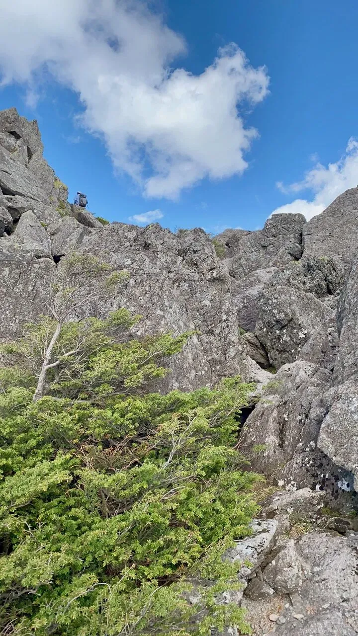 八ヶ岳の北の方(蓼科山、北横岳)をトレラン - 画像32