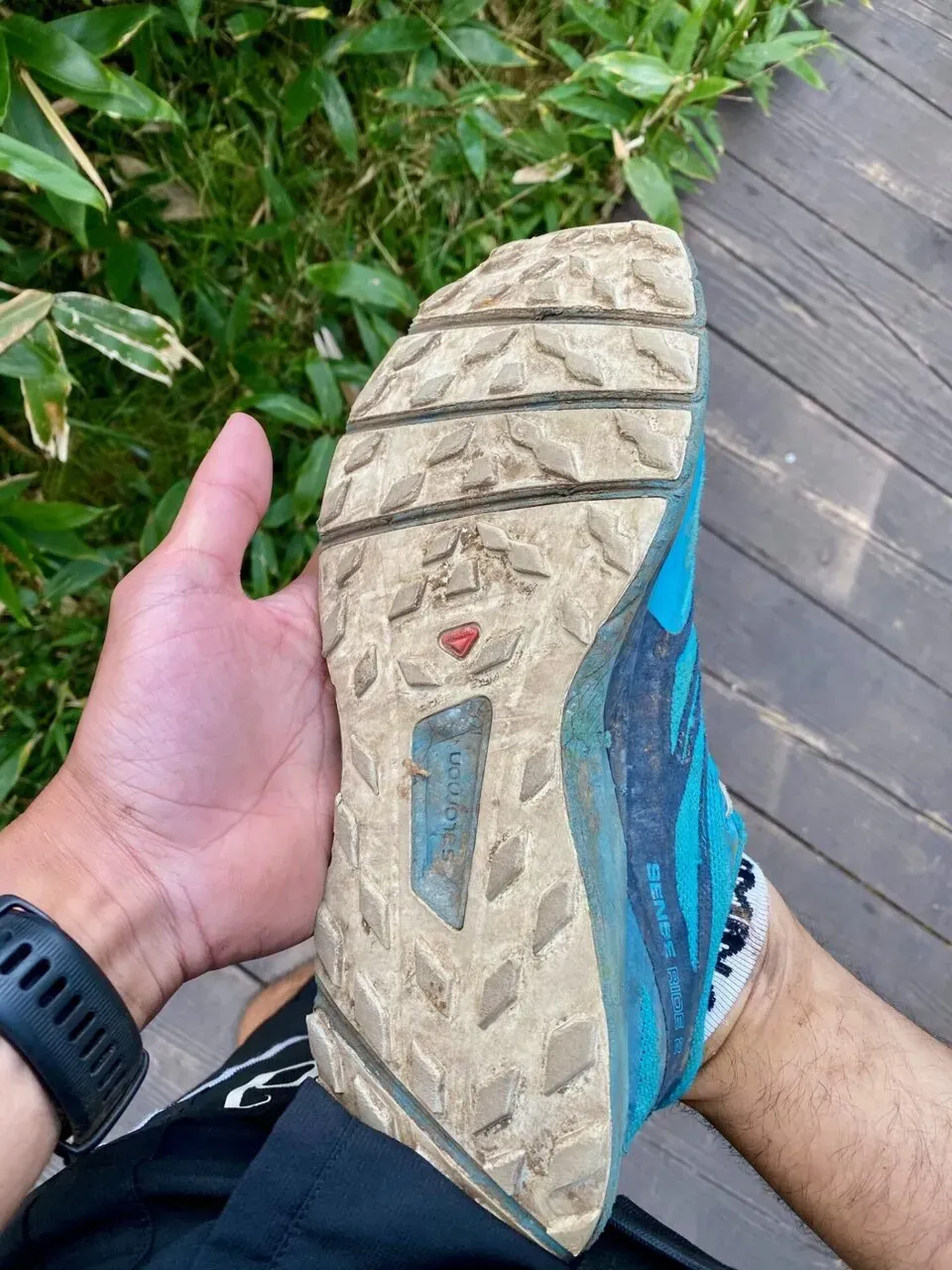 八ヶ岳の北の方(蓼科山、北横岳)をトレラン - 画像37