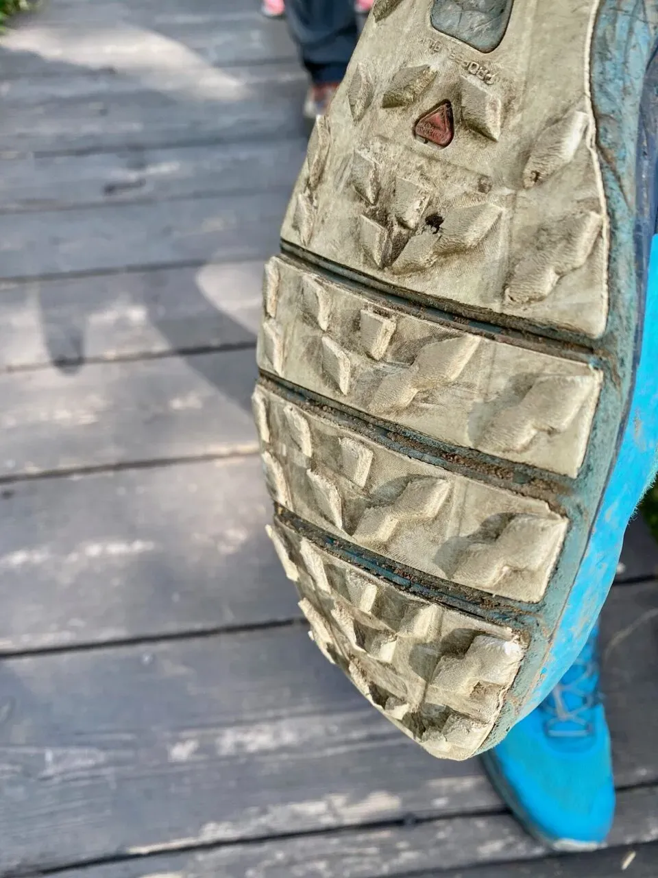 八ヶ岳の北の方(蓼科山、北横岳)をトレラン - 画像38