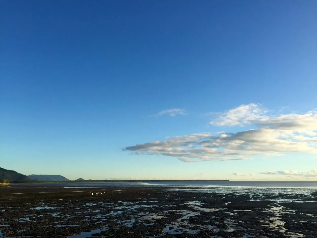 ケアンズ(Cairns)滞在記 1日目 - 画像26