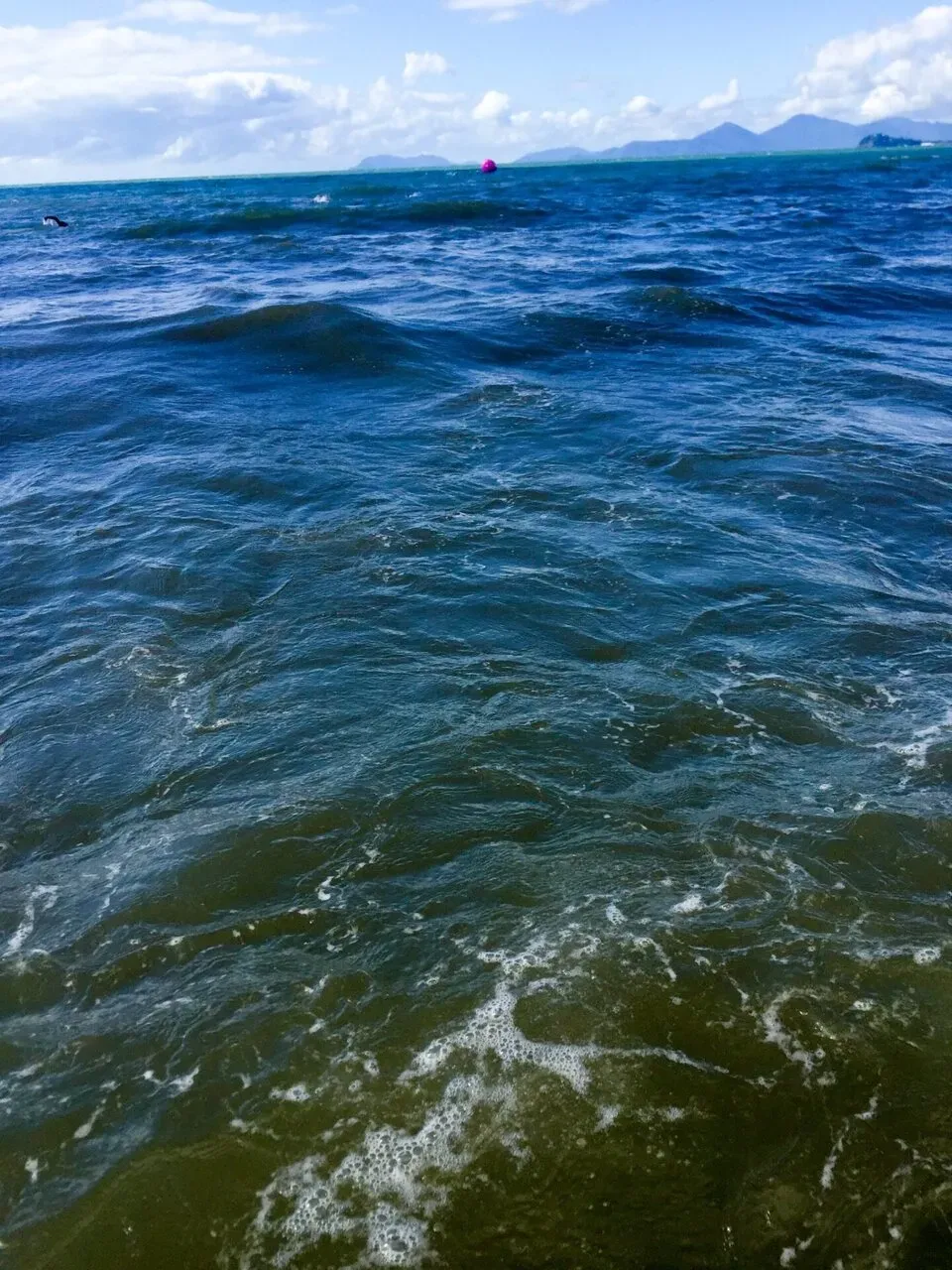 ケアンズ滞在記 2日目 - 画像14