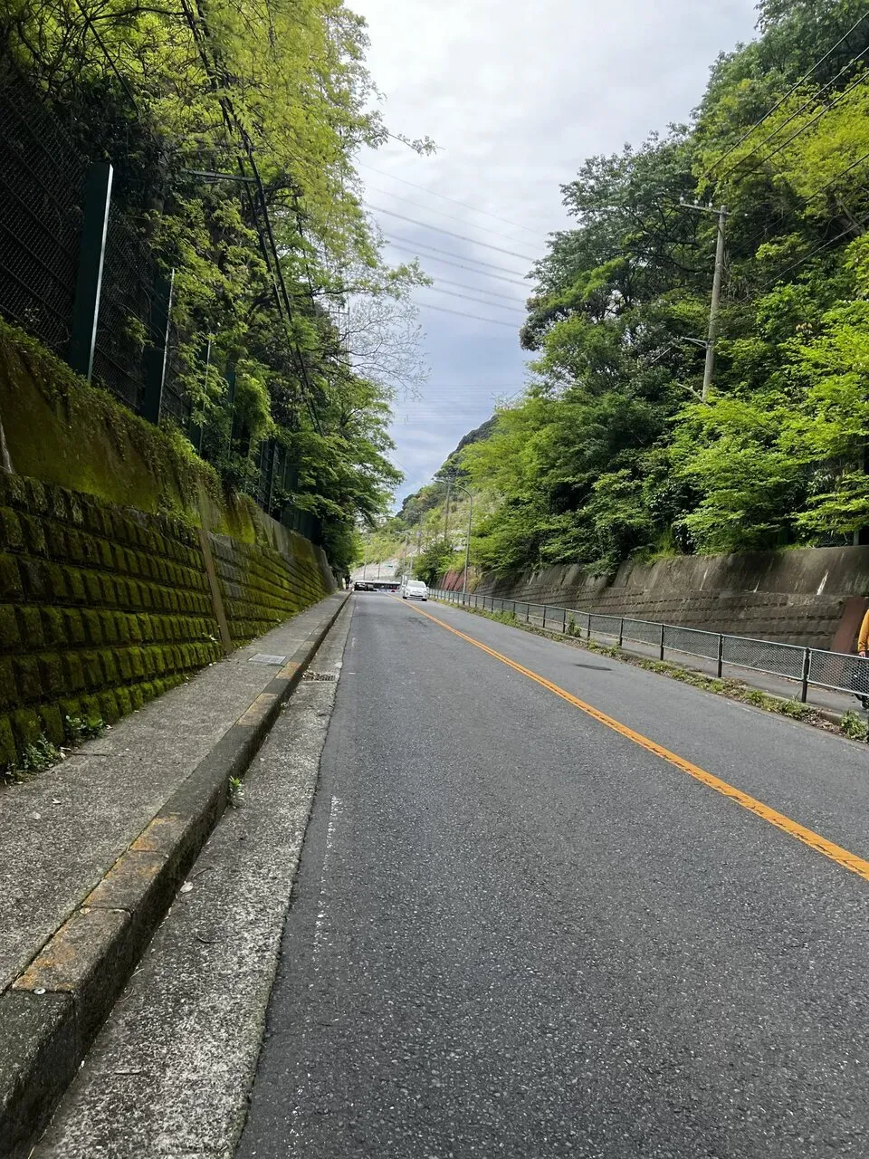 三崎港へマグロを食べに行くライド - 画像1