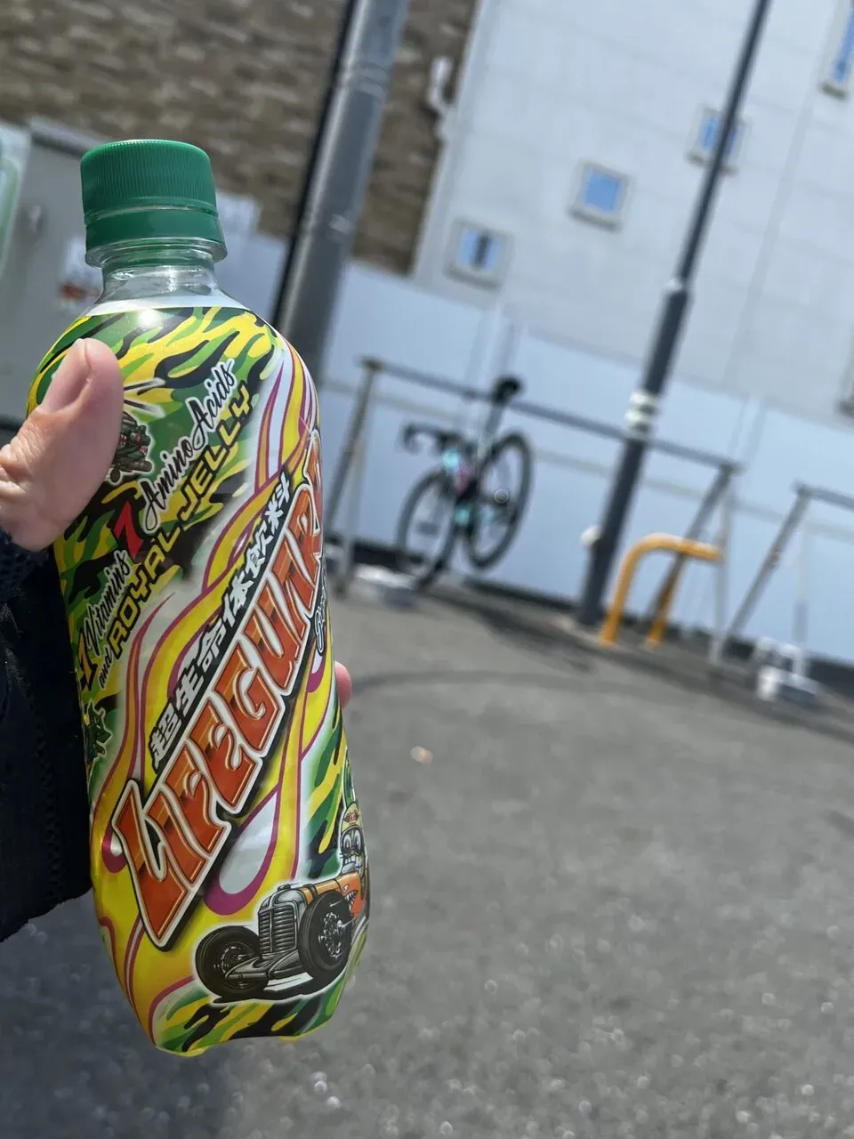 三崎港へマグロを食べに行くライド - 画像9