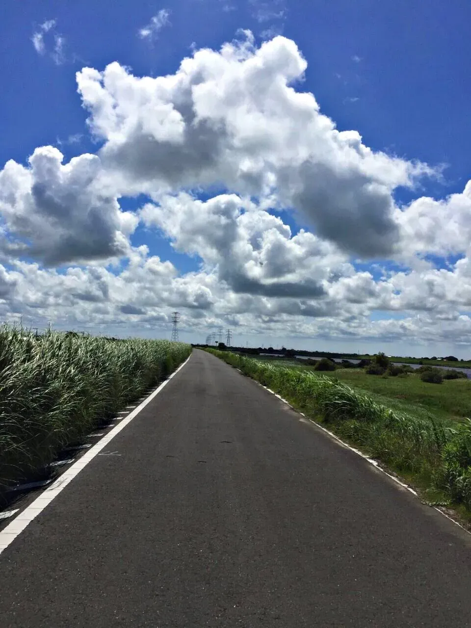 Cover Image of the Post