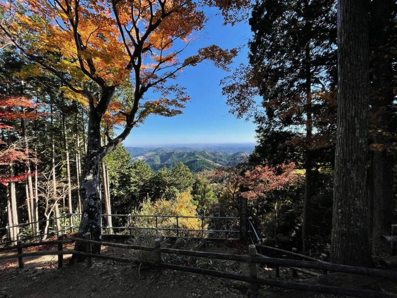 展望台からの紅葉と秩父の山々の絶景