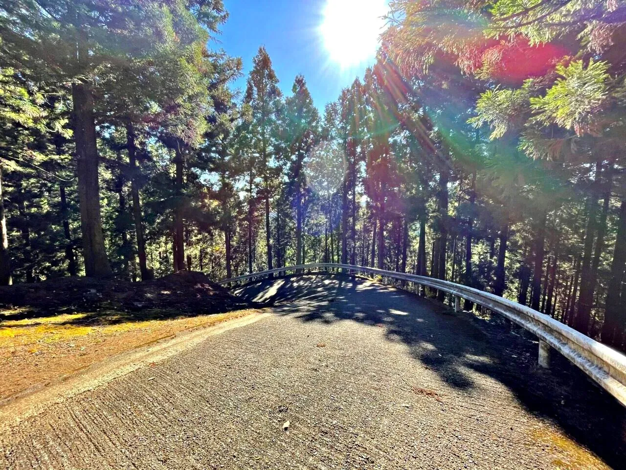 Cover Image of the Post