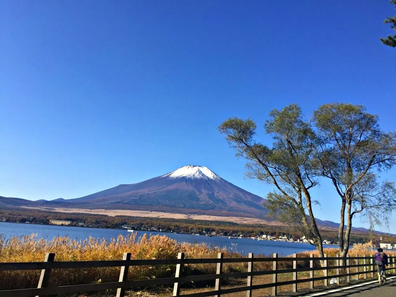 Cover Image of the Post