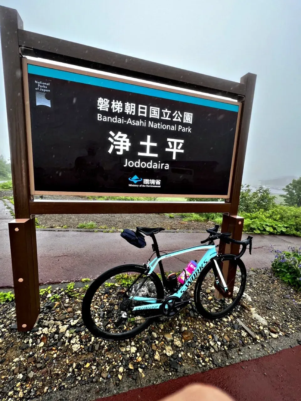 Cover Image of the Post