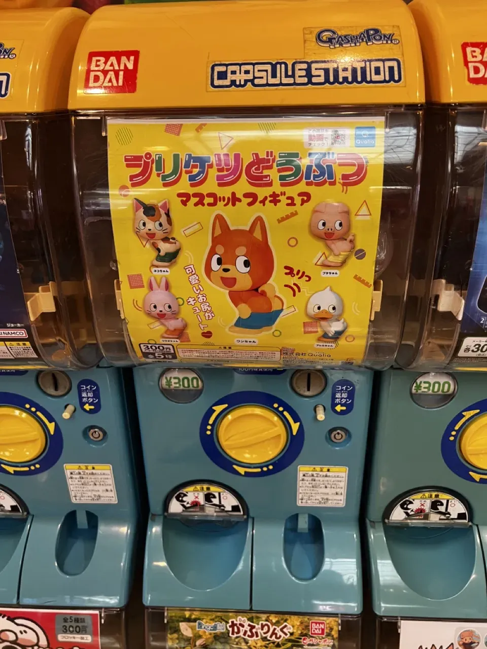 福島 ライド1日目（福島駅→磐梯吾妻スカイラインHC→猪苗代湖→会津若松） - 画像42