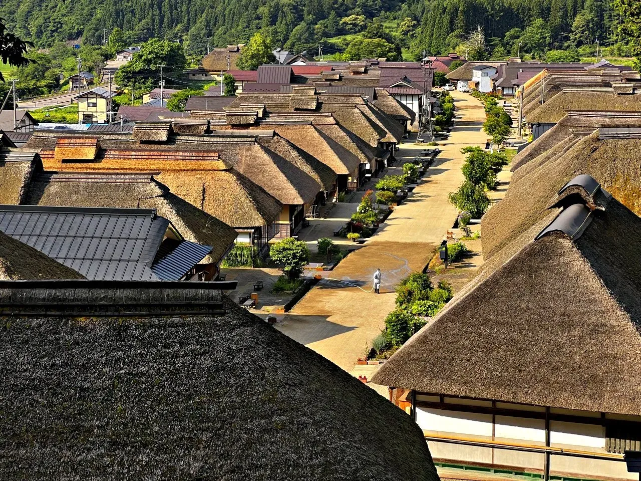 Cover Image of the Post