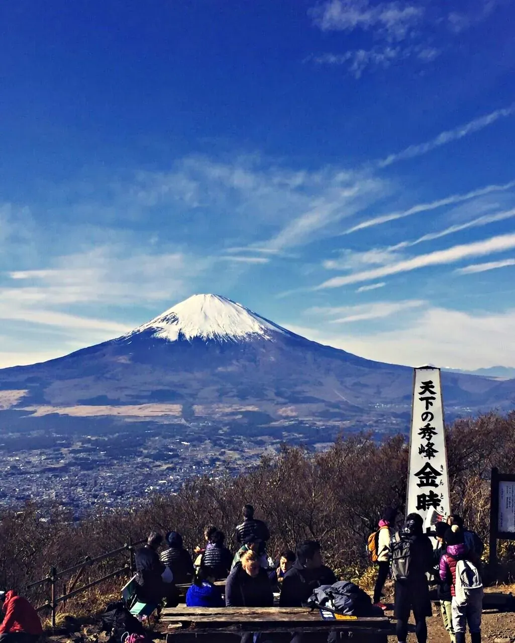 Cover Image of the Post