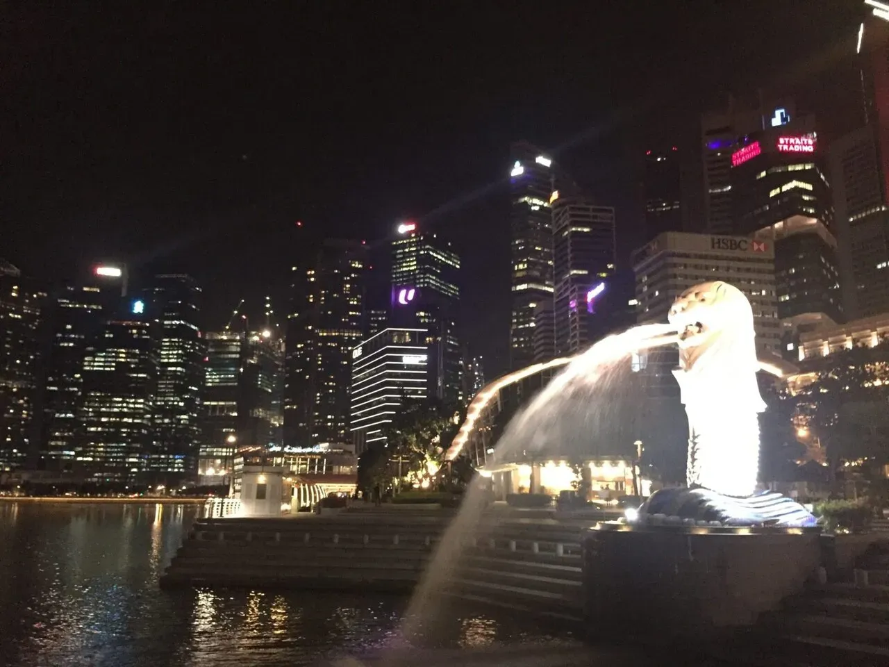 マーライオンとスカイラインの夜景