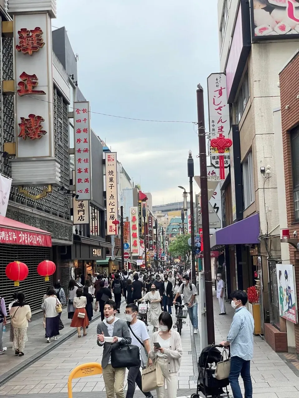三崎港へ美味しいマグロを求めて自走ライドしたけど色々辛かった - 画像11