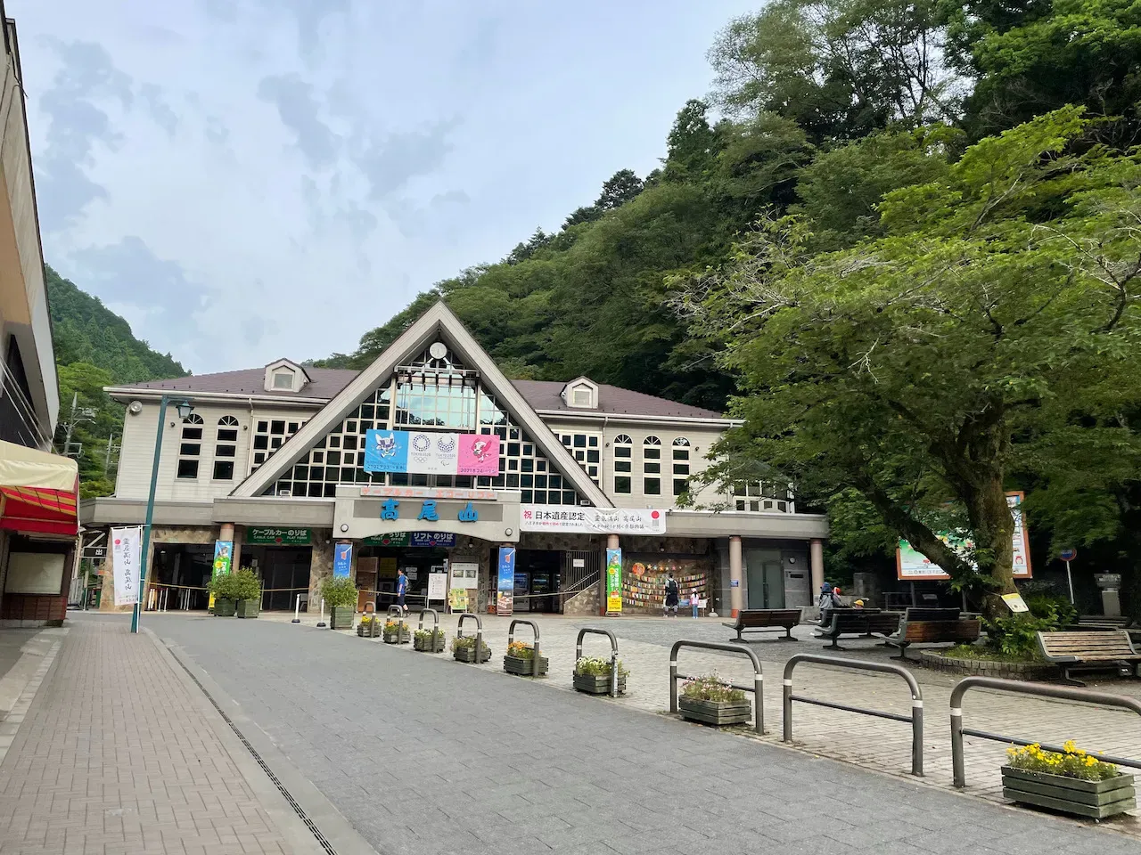 高尾山から陣馬山へトレランしたけど、笹？にかぶれて手足がかゆい！ - 画像1