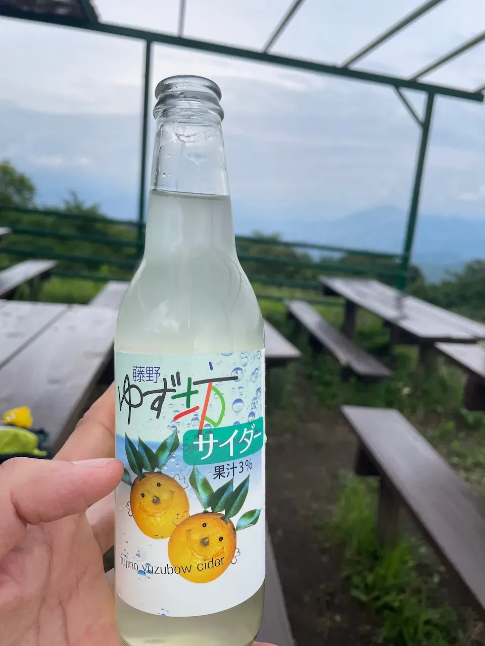 高尾山から陣馬山へトレランしたけど、笹？にかぶれて手足がかゆい！ - 画像11