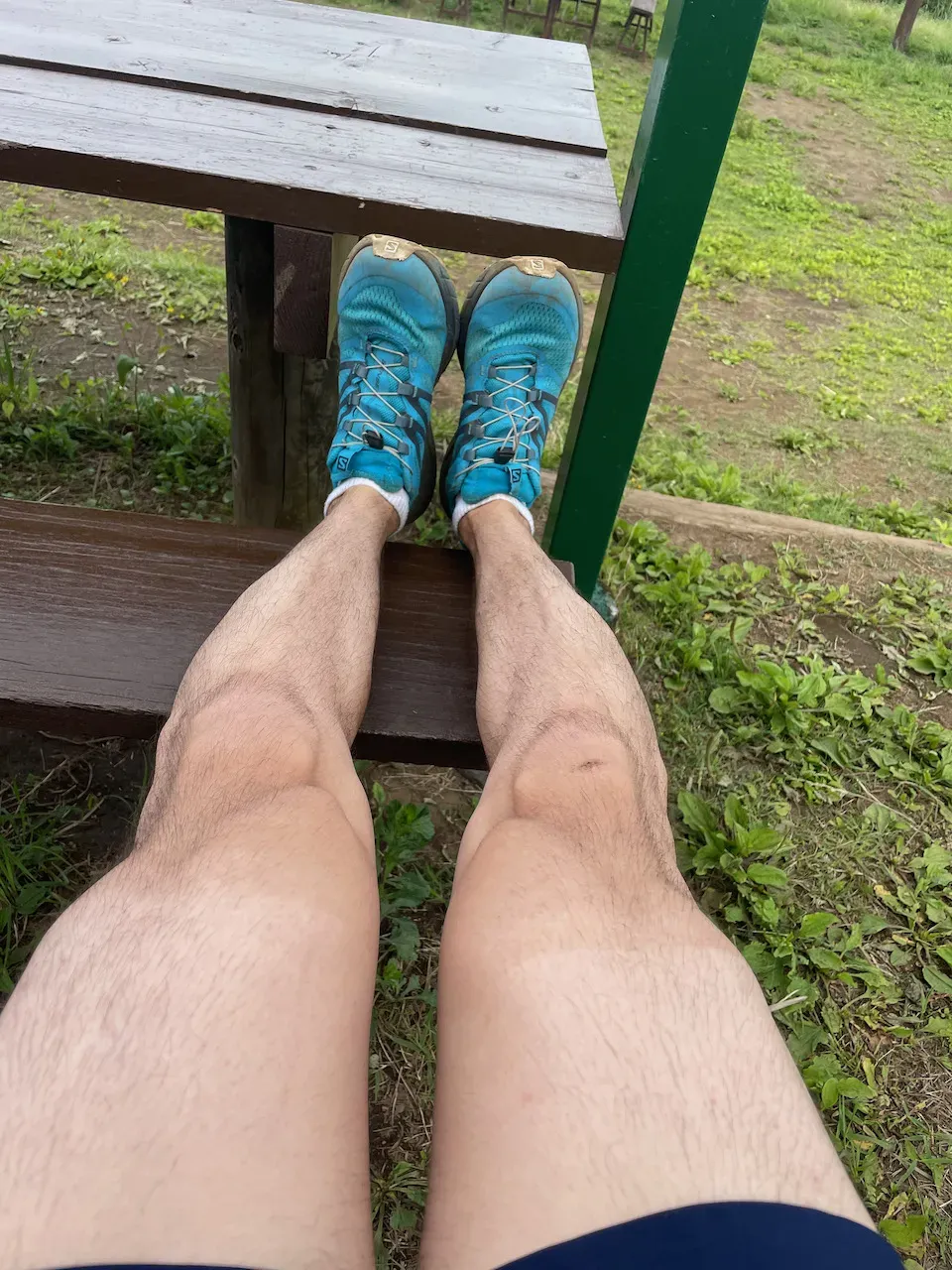 高尾山から陣馬山へトレランしたけど、笹？にかぶれて手足がかゆい！ - 画像12