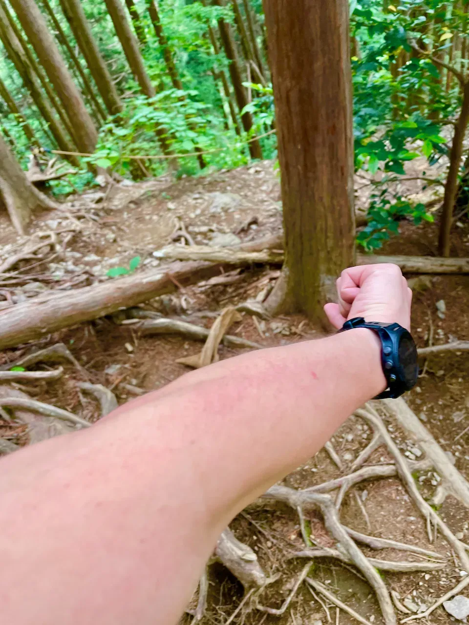 高尾山から陣馬山へトレランしたけど、笹？にかぶれて手足がかゆい！ - 画像14