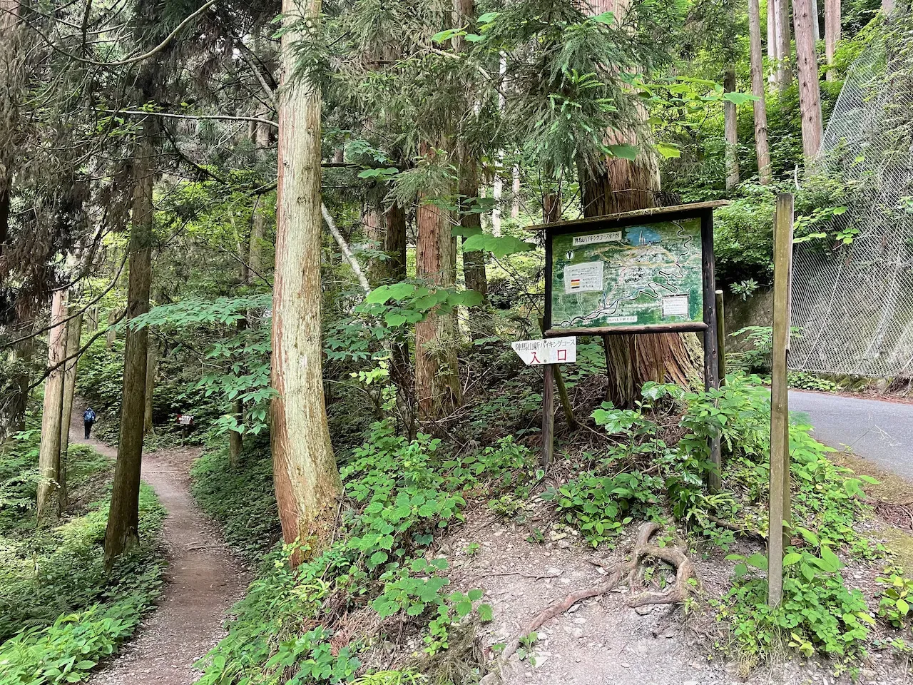 高尾山から陣馬山へトレランしたけど、笹？にかぶれて手足がかゆい！ - 画像16