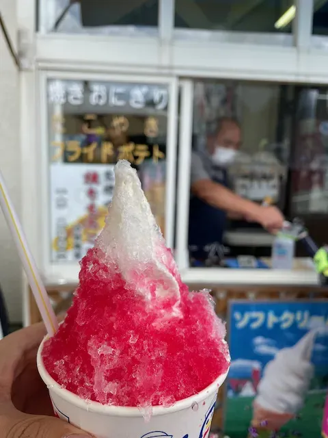 富士山スカイラインヒルクライム＋富士山山頂登山 - 画像7