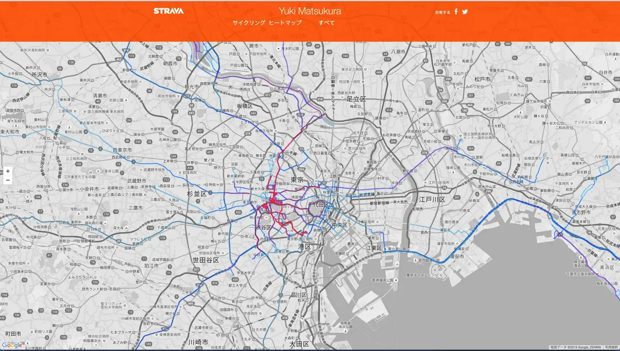 strava heat map