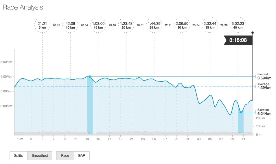 勝田マラソン 3時間17分・・・ - 画像1
