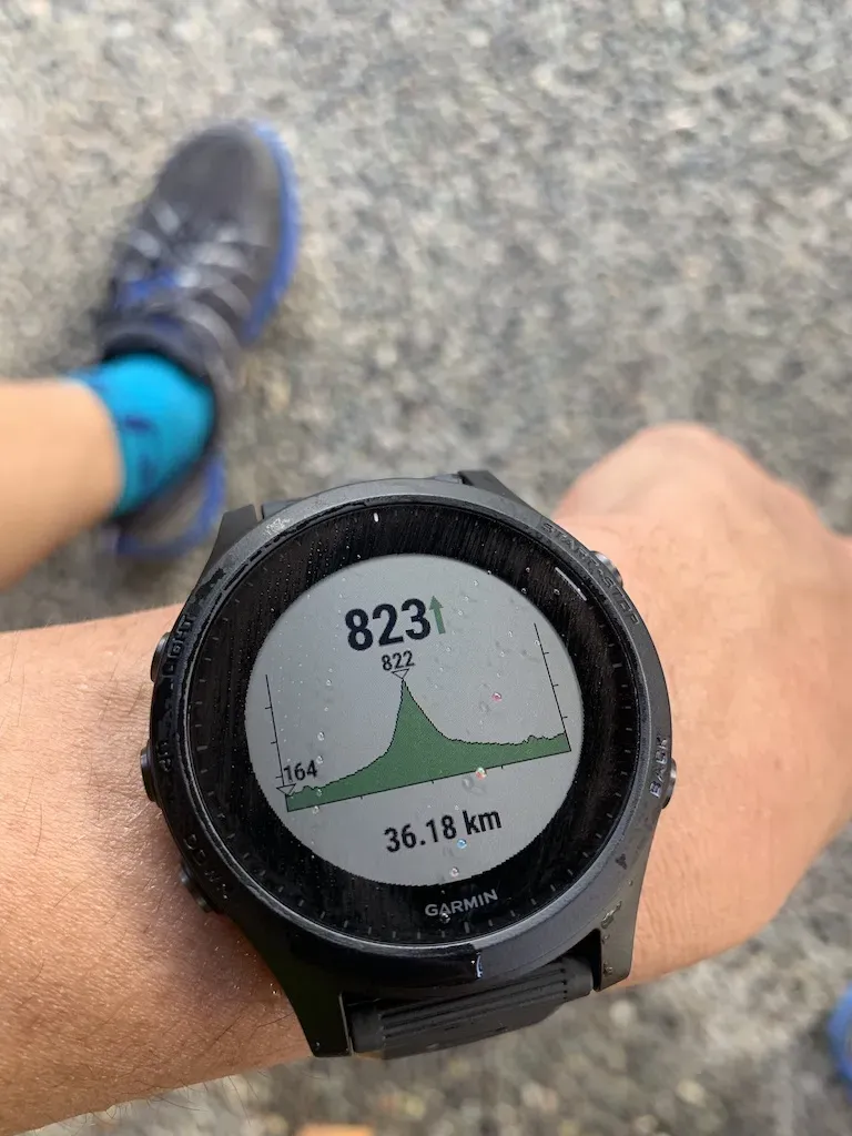 陣馬山へ峠走 トレーニング 36km - 画像13