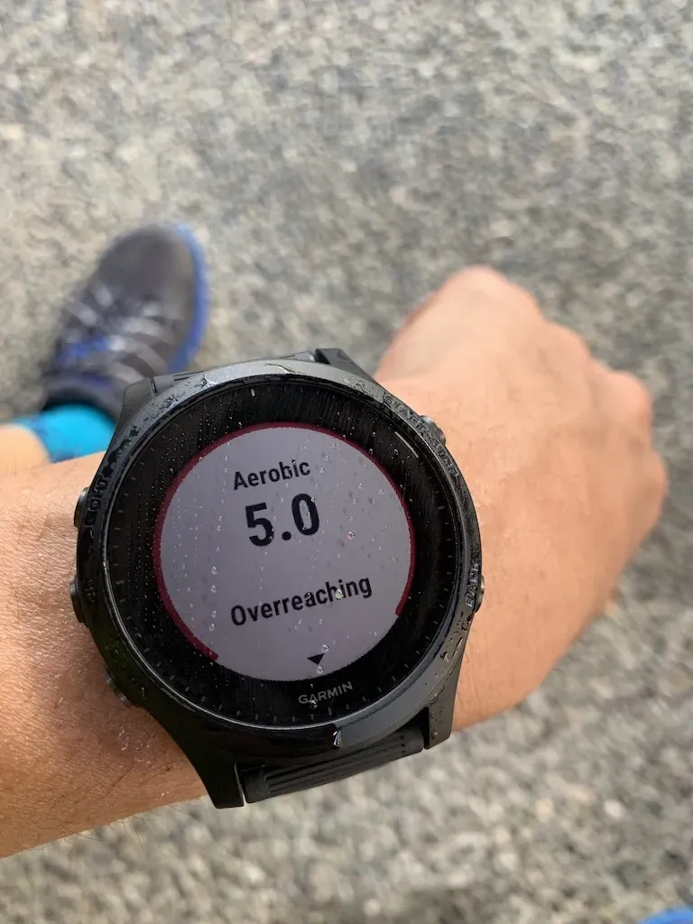 陣馬山へ峠走 トレーニング 36km - 画像10