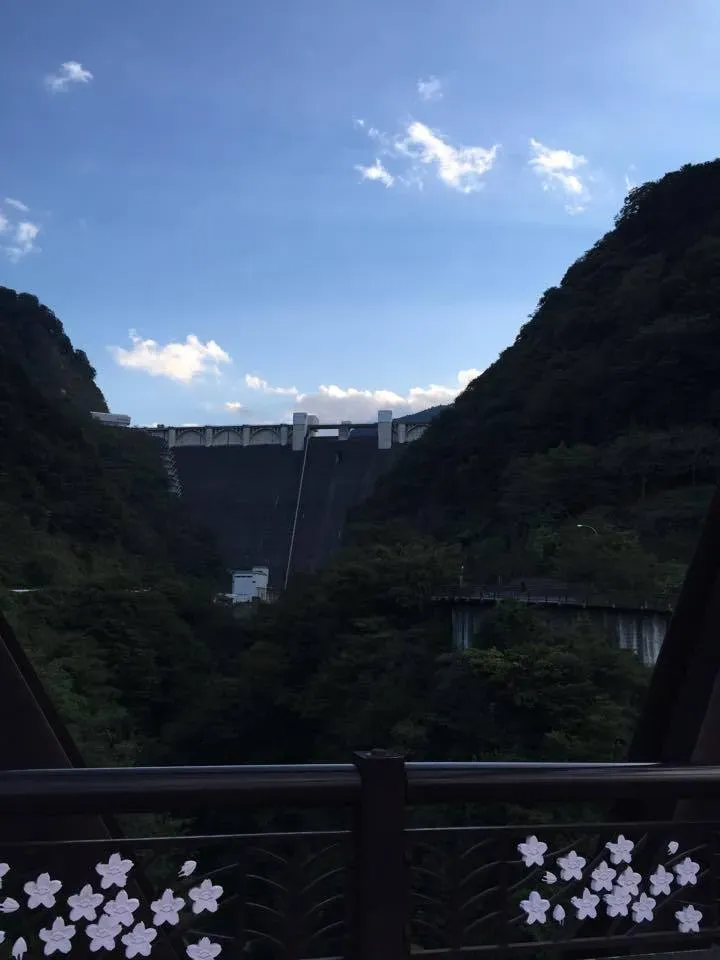 Cover Image of the Post