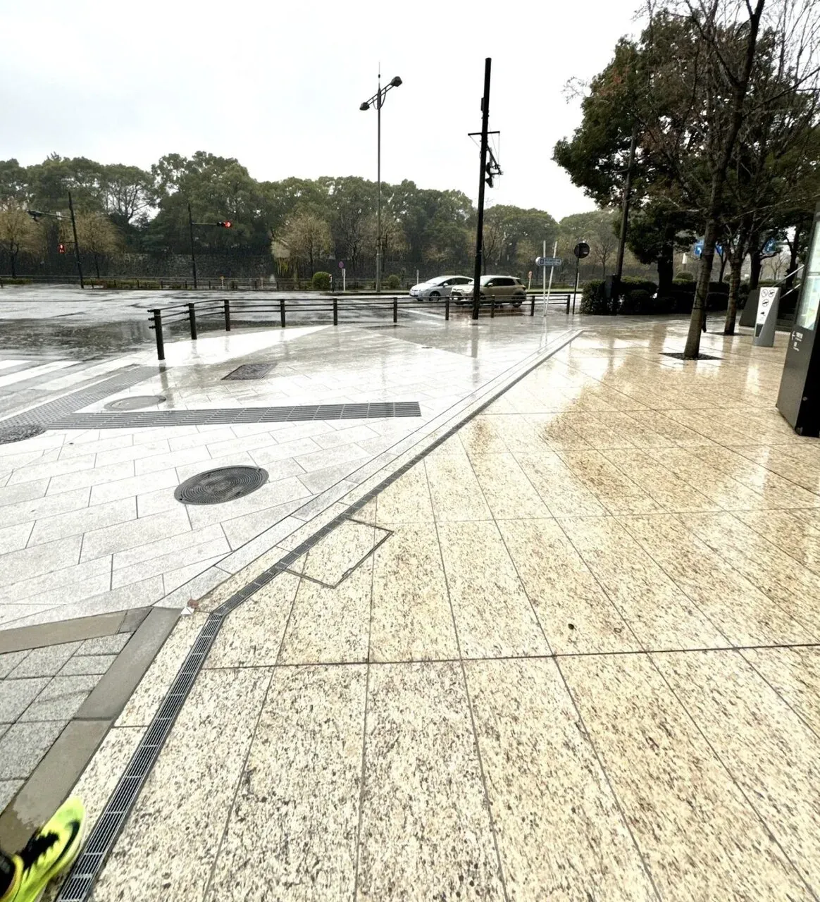 皇居で20km練習会に行ってきました - 画像3