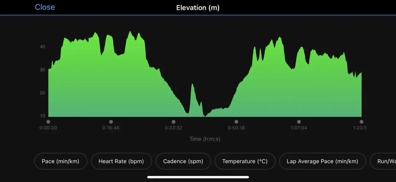新宿シティハーフマラソンの高度
